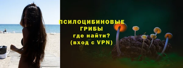 тгк Абинск