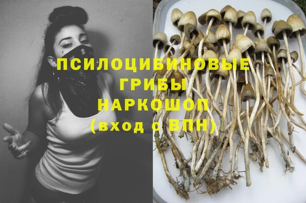 Альфа ПВП Приозерск